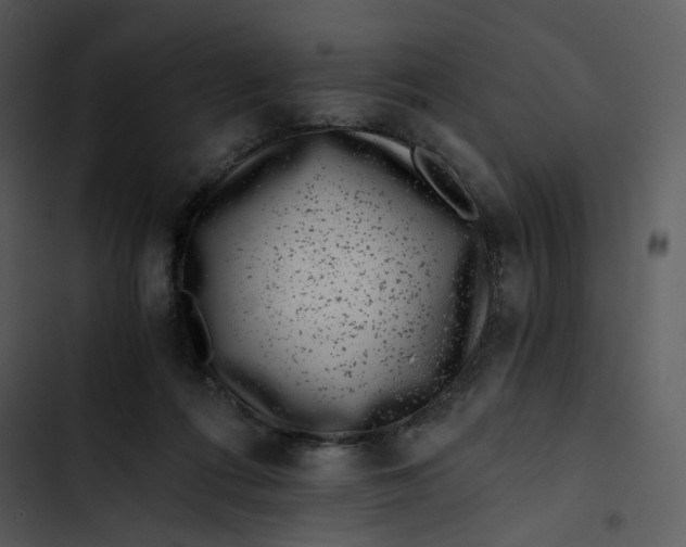 X0000102820312200809081137