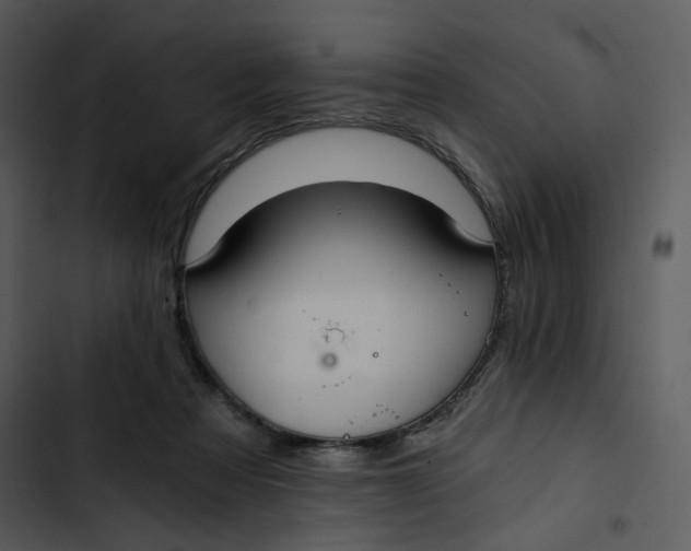 X0000102820313200809081137