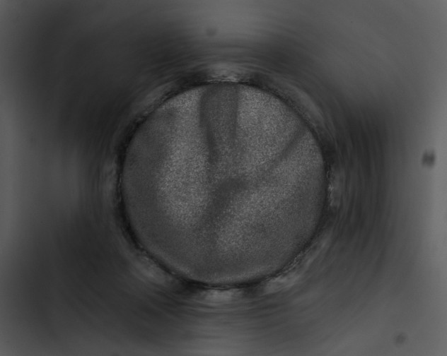 X0000102820314200809081137