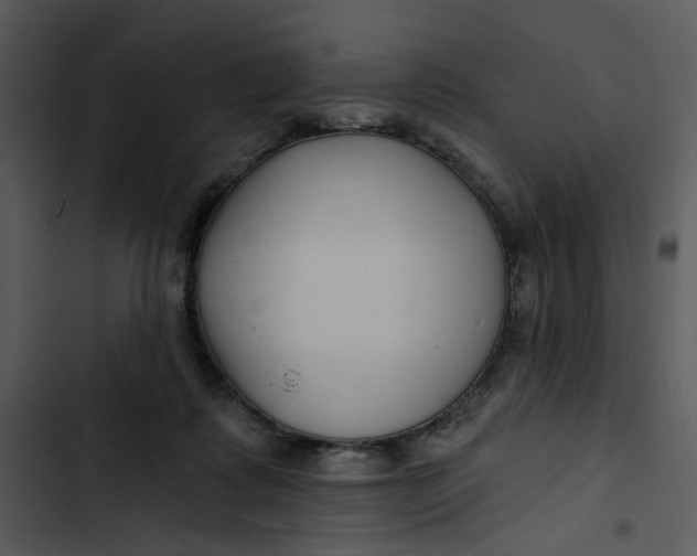 X0000102820315200809081137