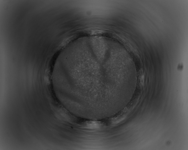 X0000102820316200809081137