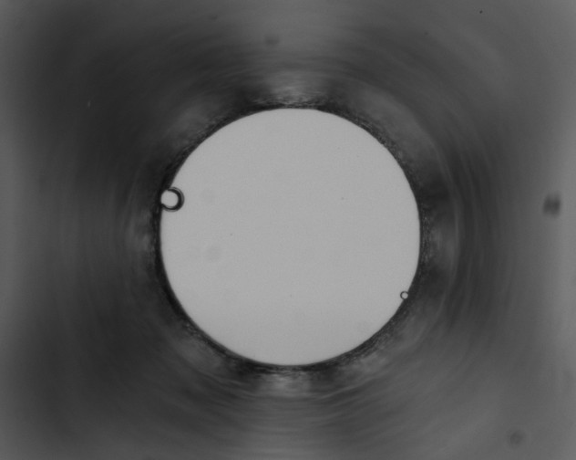 X0000102820317200809081137