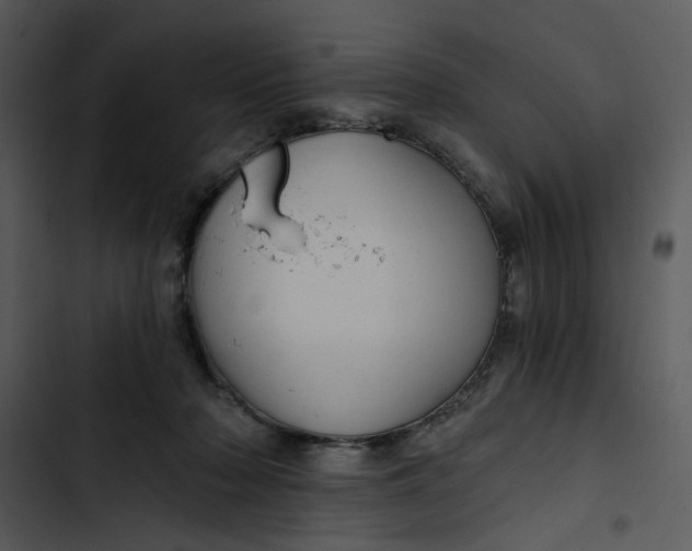 X0000102820318200809081137