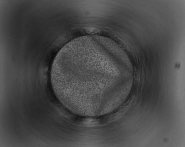 X0000102820319200809081137