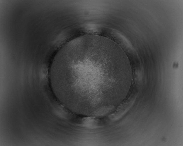 X0000102820320200809081137