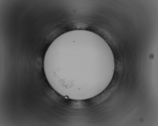 X0000102820321200809081137