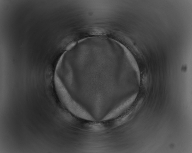 X0000102820322200809081137