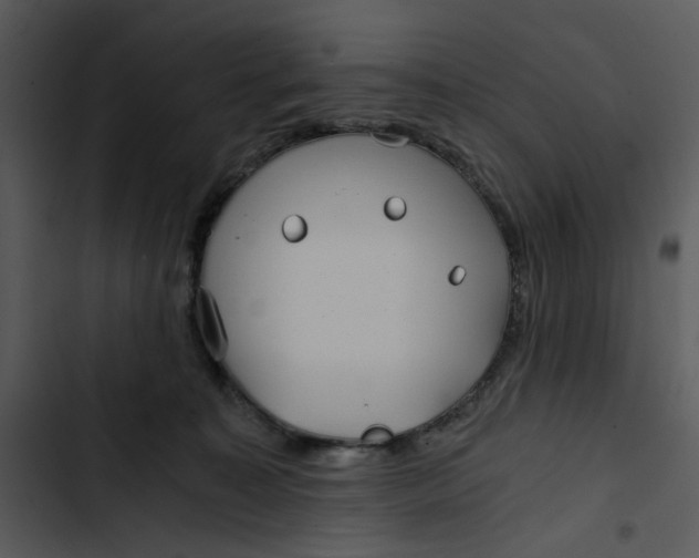 X0000102820323200809081137