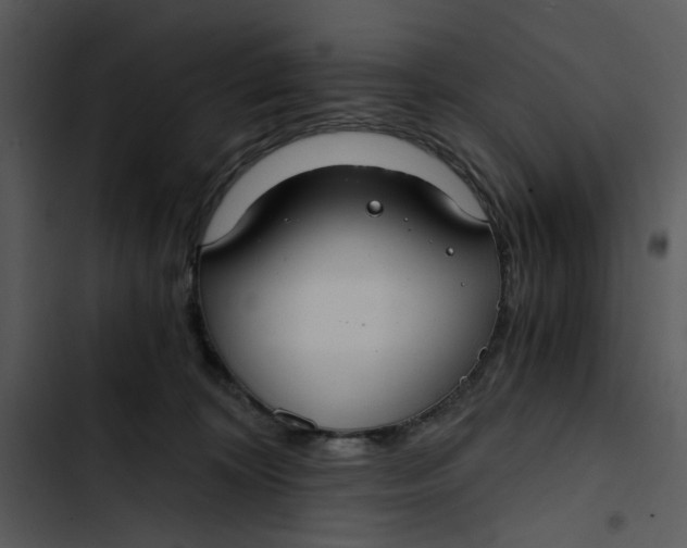 X0000102820324200809081137