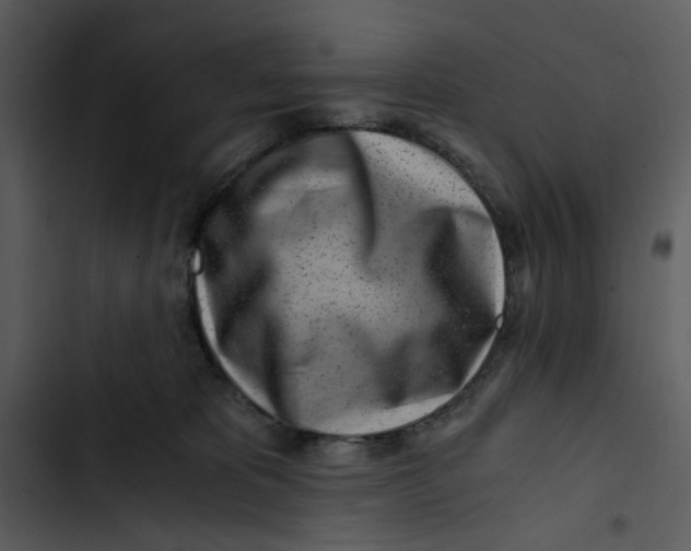 X0000102820325200809081137