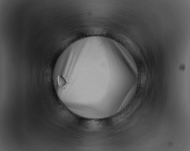 X0000102820326200809081137