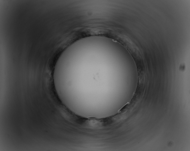 X0000102820327200809081137