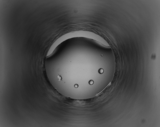 X0000102820328200809081137