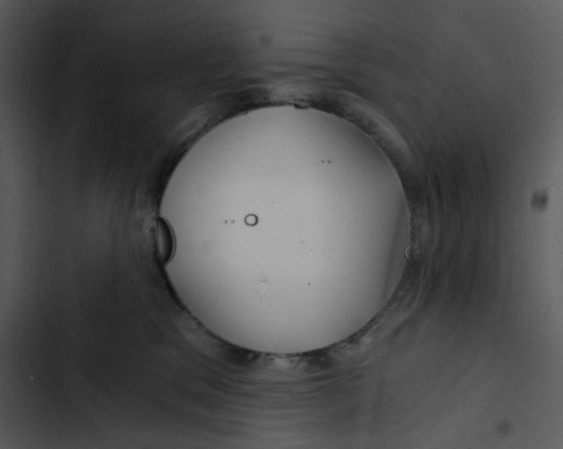 X0000102820329200809081137