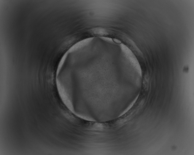 X0000102820330200809081137