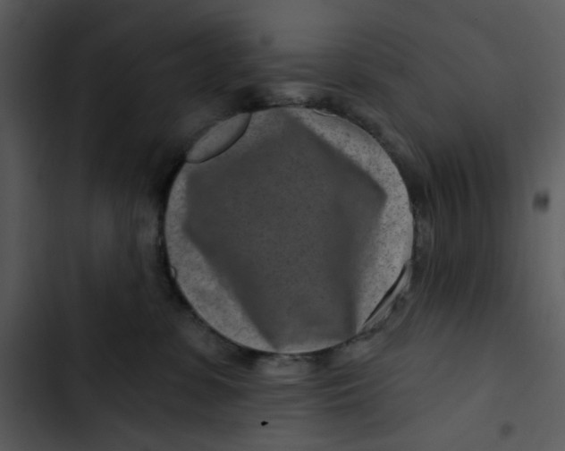 X0000102820331200809081137