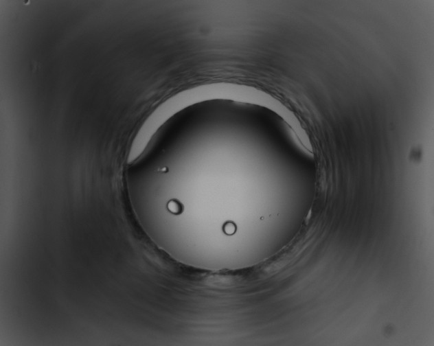 X0000102820332200809081137