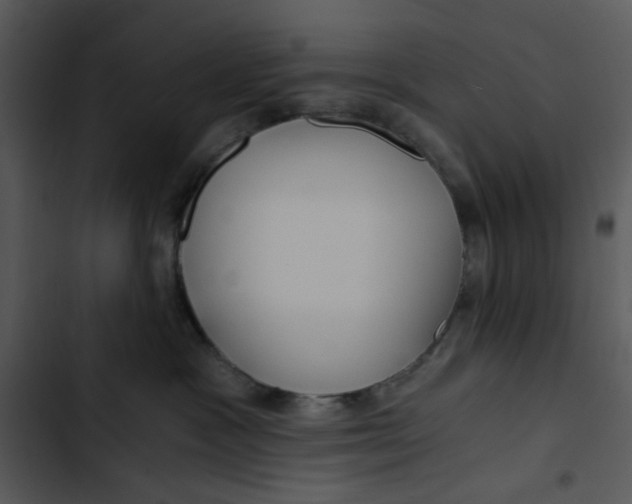 X0000102820333200809081137