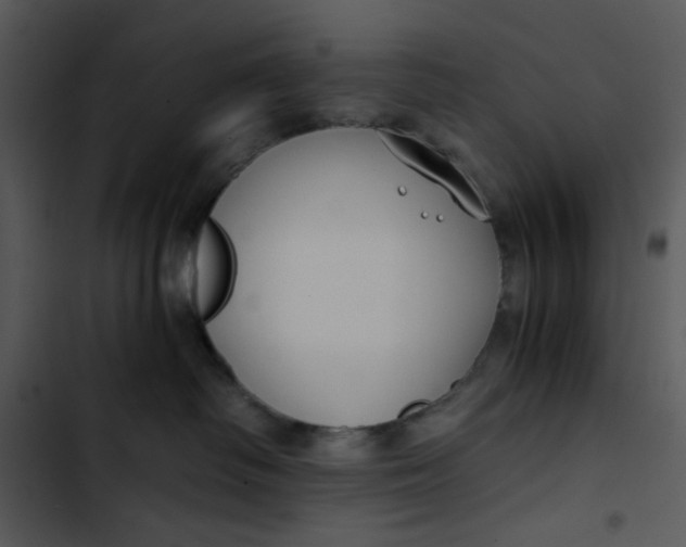 X0000102820334200809081137