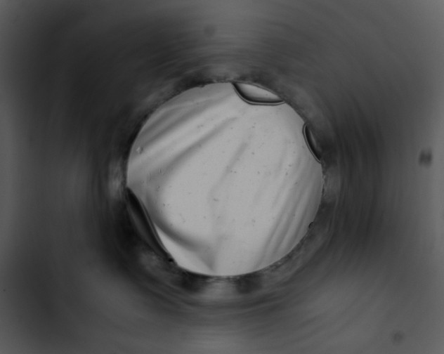 X0000102820335200809081137