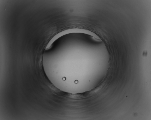 X0000102820336200809081137