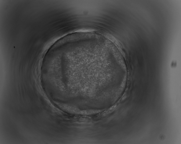 X0000102820337200809081136