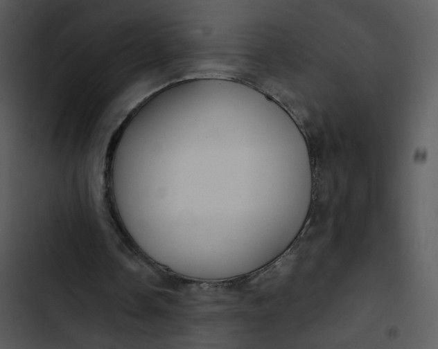 X0000102820338200809081136