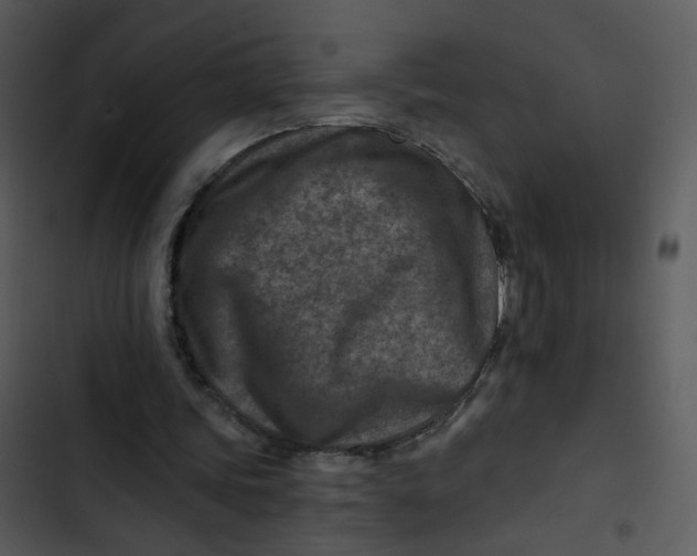 X0000102820339200809081136