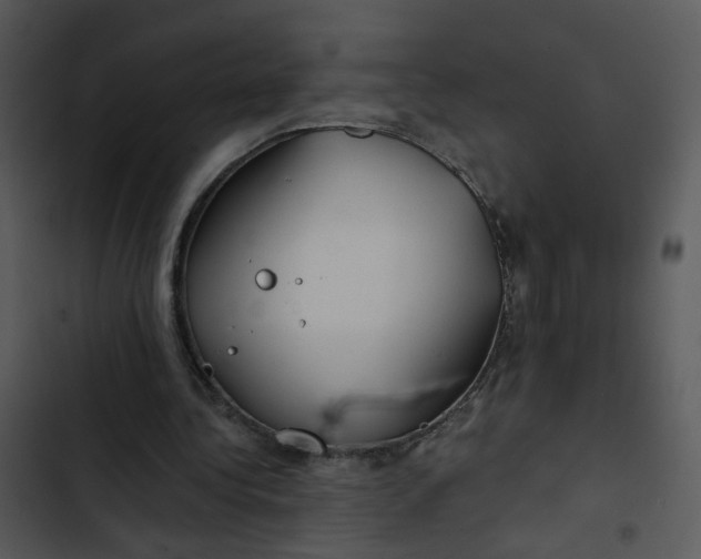 X0000102820340200809081136