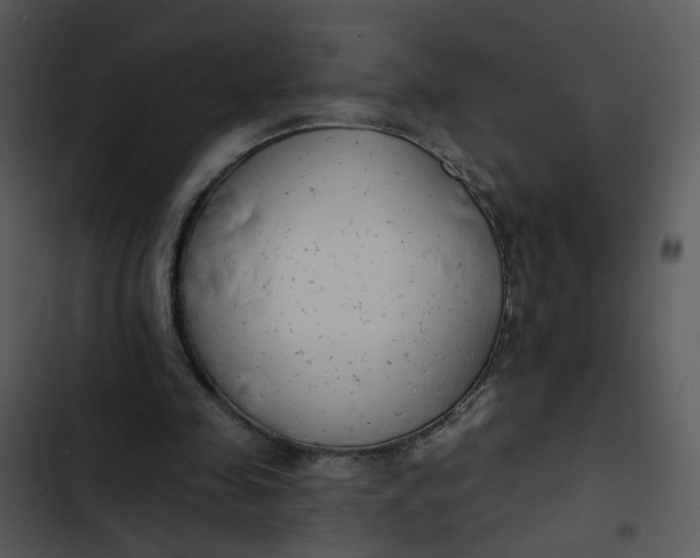 X0000102820341200809081136