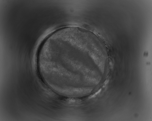 X0000102820343200809081136