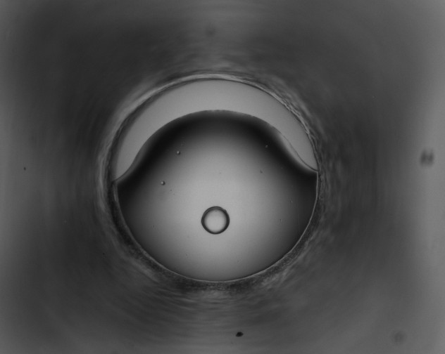 X0000102820344200809081136