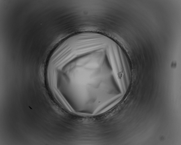 X0000102820345200809081136