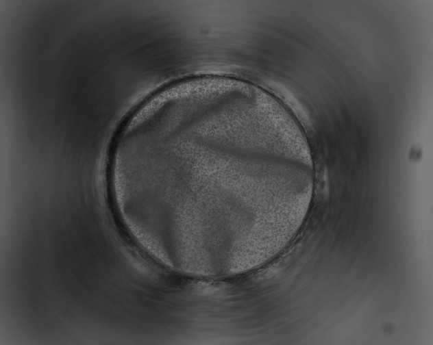 X0000102820346200809081136