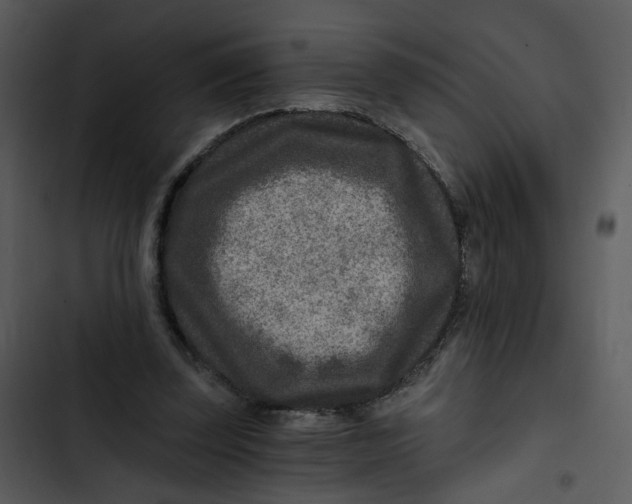 X0000102820347200809081136