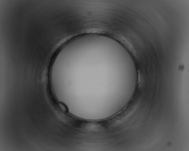 X0000102820348200809081136