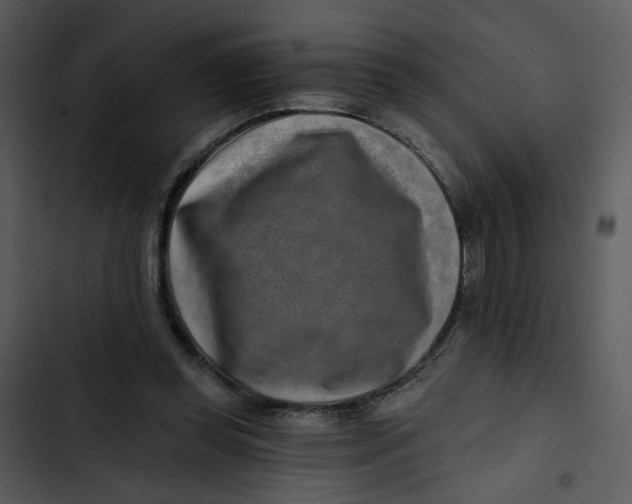 X0000102820349200809081136