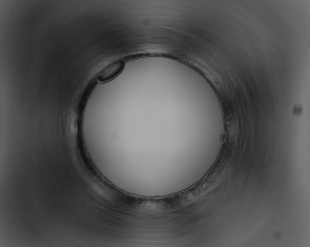 X0000102820350200809081136