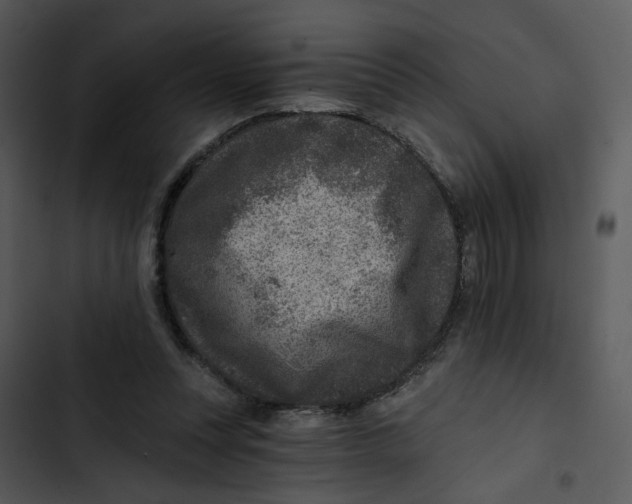 X0000102820351200809081136