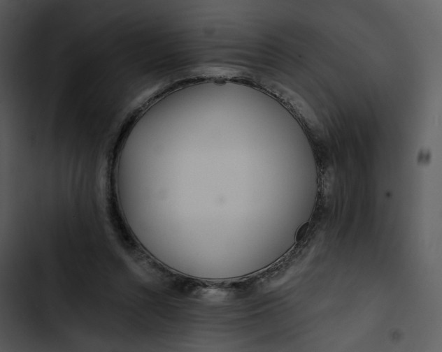 X0000102820352200809081136