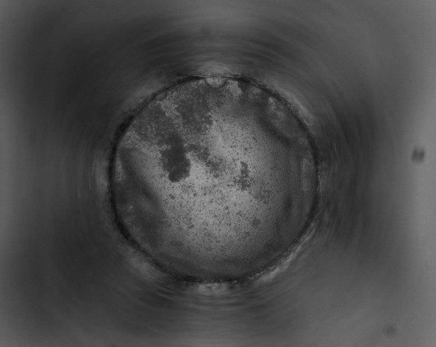 X0000102820353200809081136