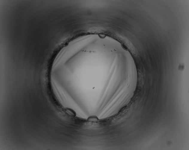 X0000102820354200809081136