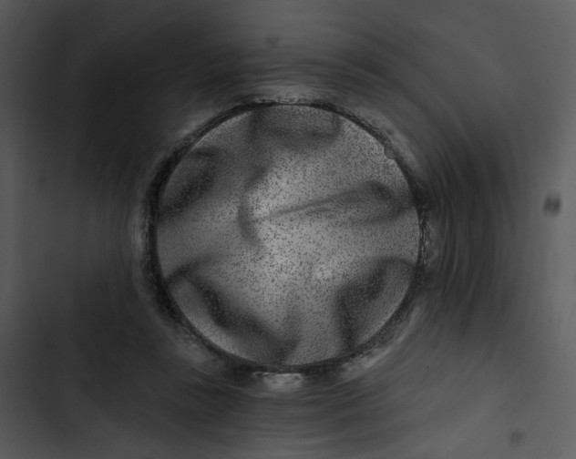 X0000102820355200809081136