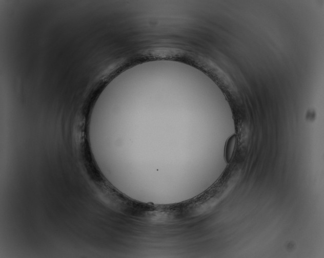 X0000102820356200809081136