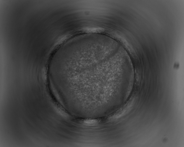 X0000102820357200809081136