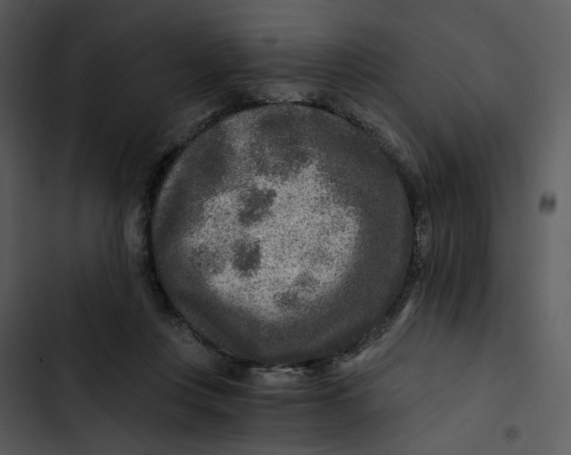 X0000102820359200809081136