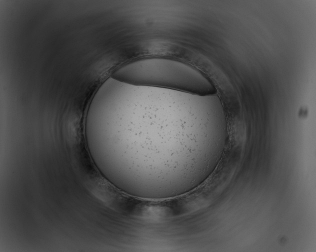 X0000102820360200809081136