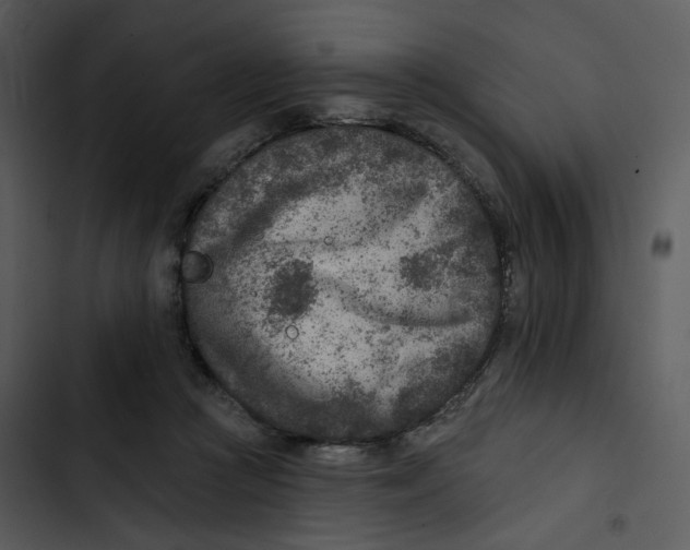 X0000102820361200809081136