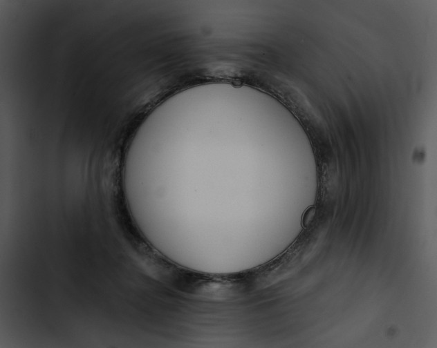 X0000102820364200809081136