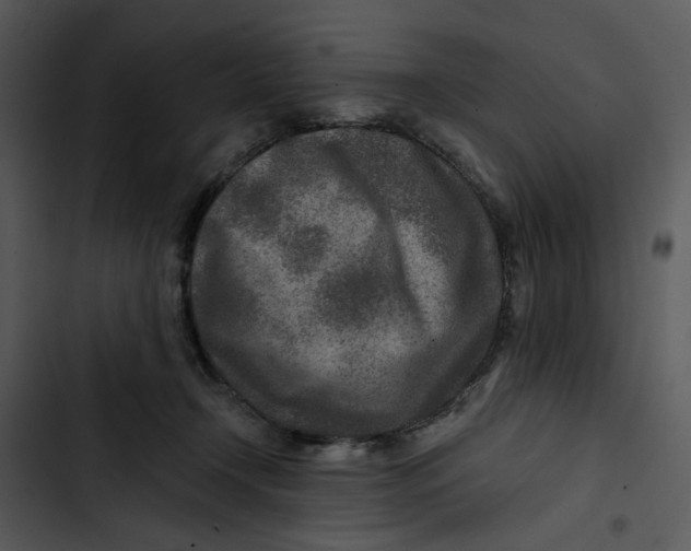 X0000102820366200809081136